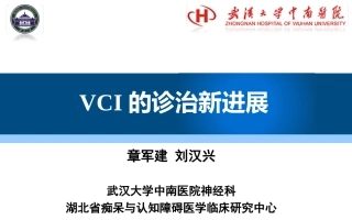 血管性认知障碍的诊治新进展-