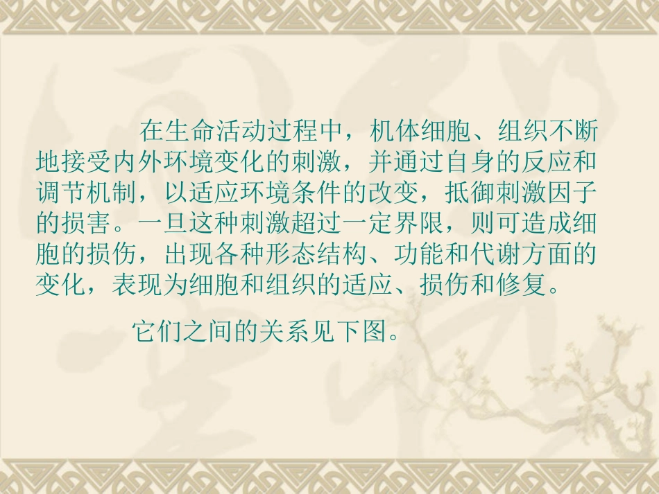 细胞和组织的适应损伤1_第2页