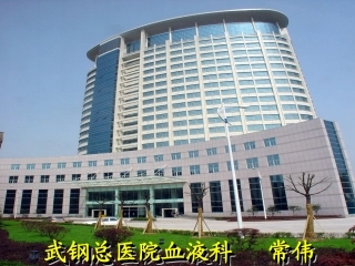 急性粒细胞白血病