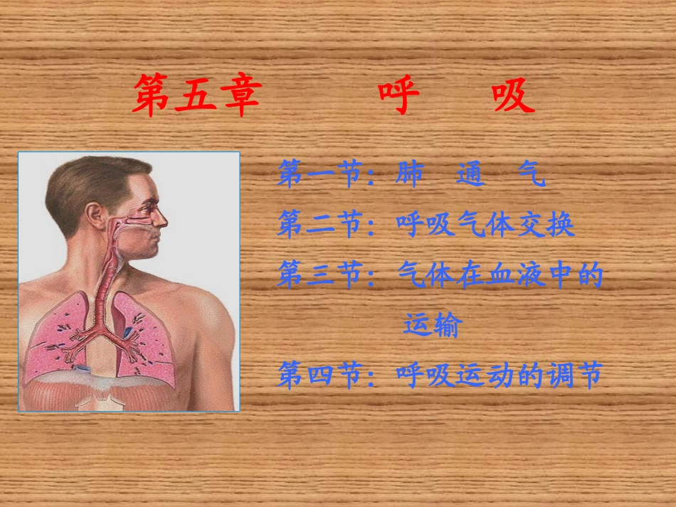 第五章  呼吸_第1页