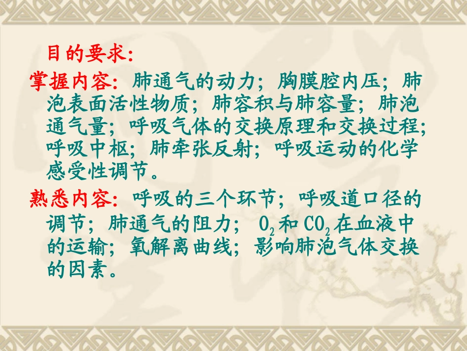 第五章  呼吸_第2页