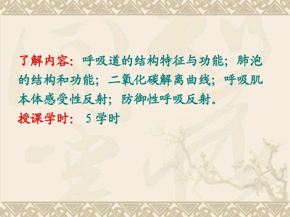 第五章  呼吸_第3页