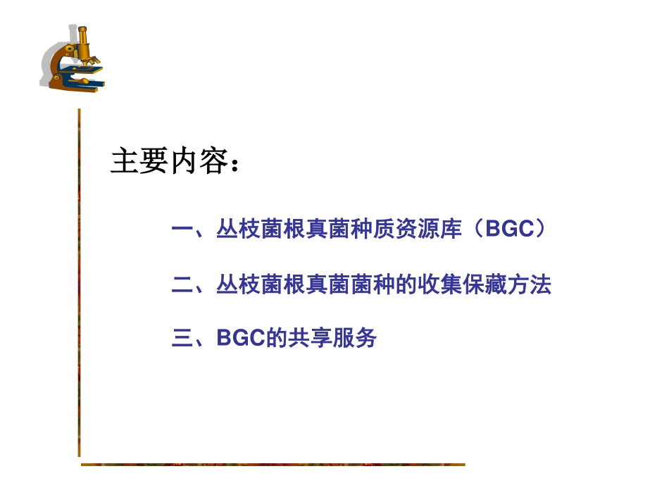 十二届菌根会兰州-王幼珊_第2页