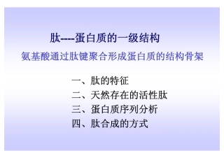蛋白质-1 [兼容模式]