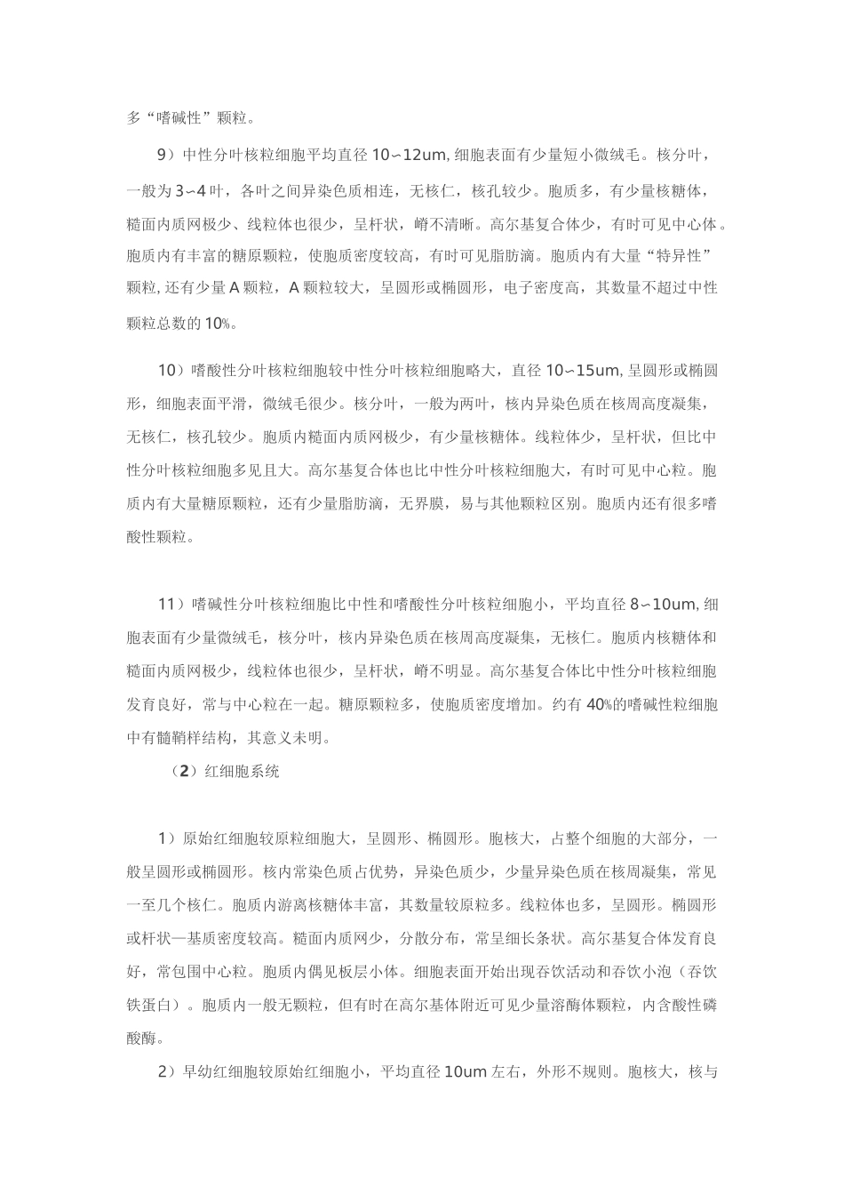 正常血细胞超微结构_第3页