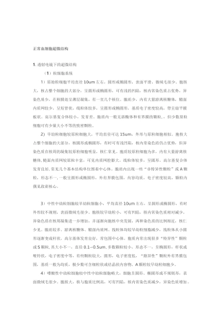 正常血细胞超微结构