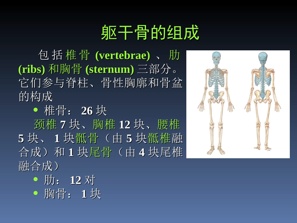 丁卫国02-躯干骨_第2页