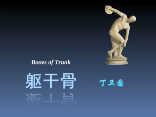 丁卫国02-躯干骨