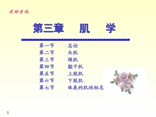肌学和内脏学