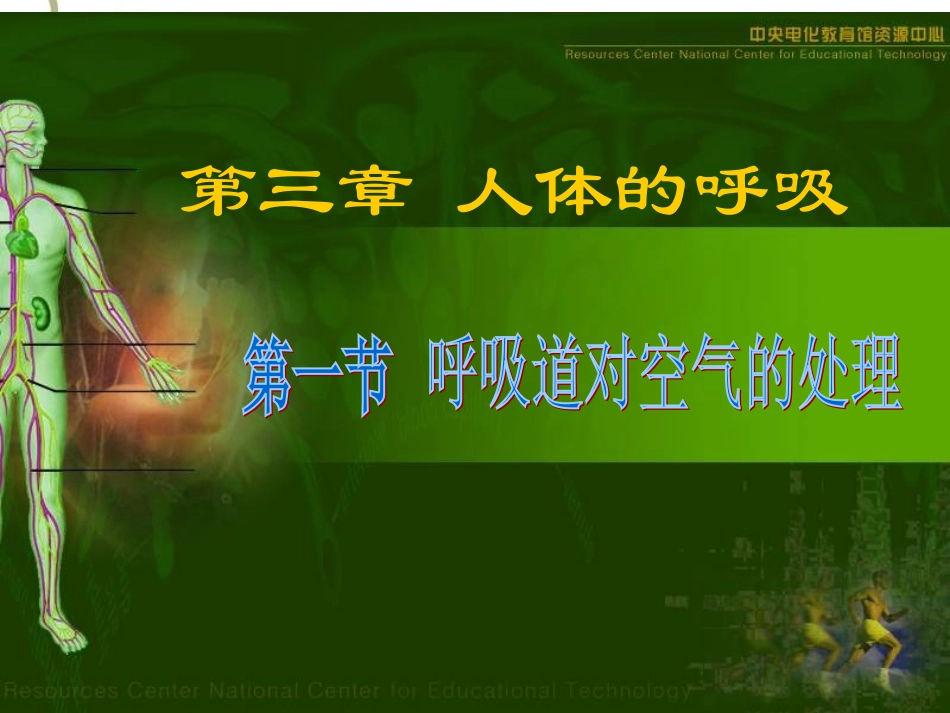 呼吸道对气体的处理_第1页