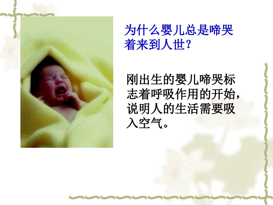 呼吸道对气体的处理_第2页