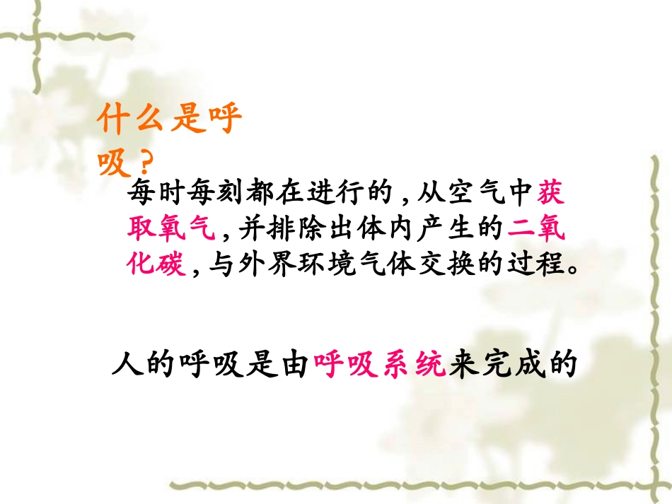 呼吸道对气体的处理_第3页