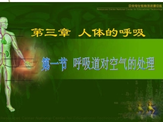 呼吸道对气体的处理