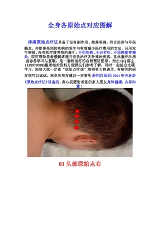 全身各原始点对应图解