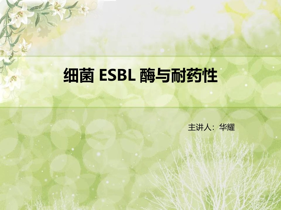 细菌超广谱β-内酰胺酶与耐药性_第1页