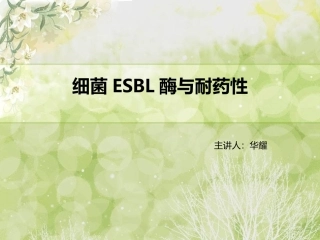 细菌超广谱β-内酰胺酶与耐药性