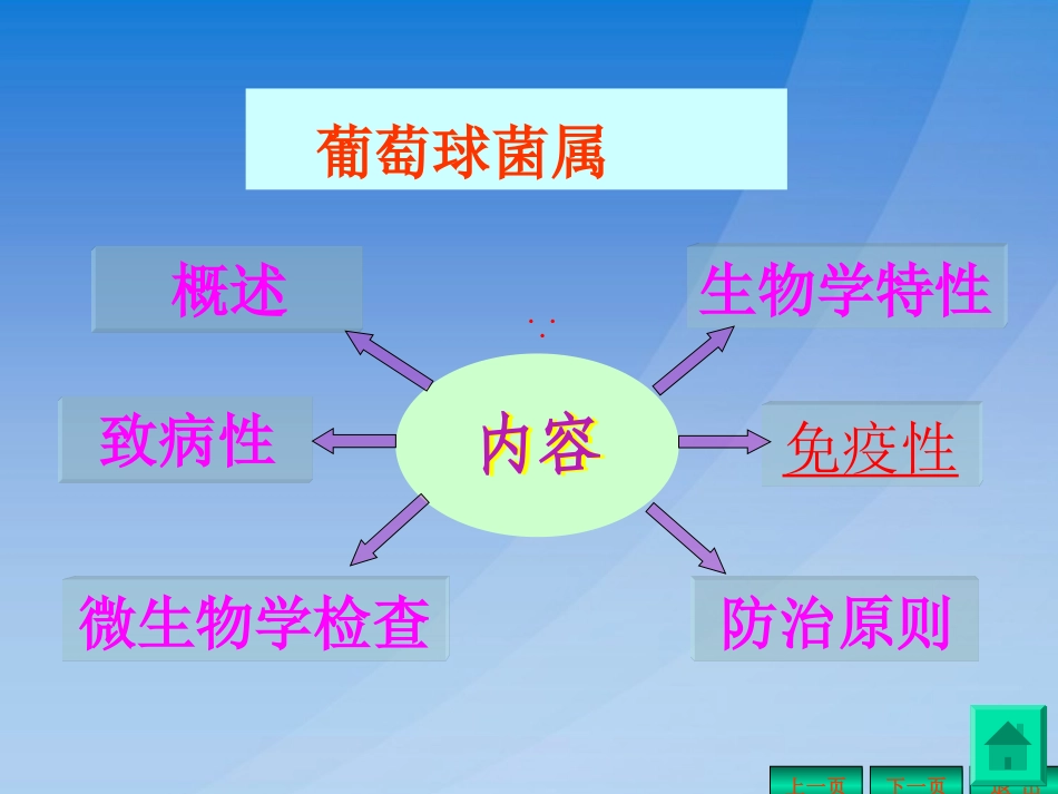 常见细菌课件_第2页
