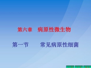 常见细菌课件
