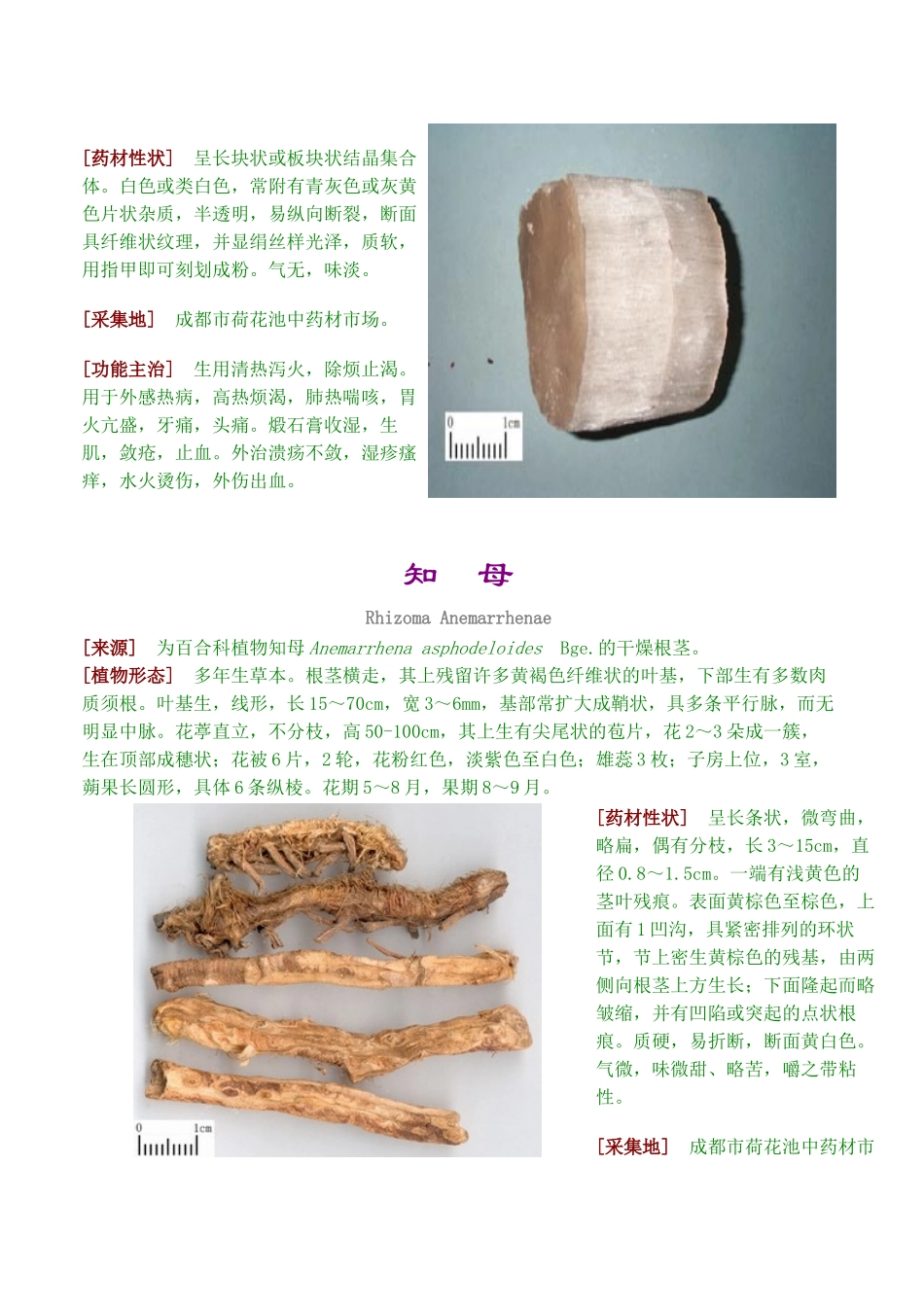 中药标本馆完整版-清热剂_第3页