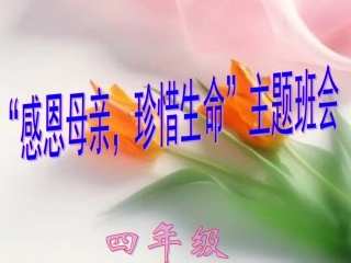 感恩母亲-珍惜生命ppt