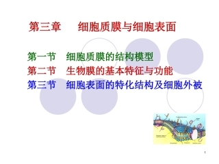 第三章细胞膜和细胞表面