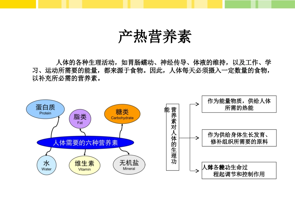 三大产热营养素_第2页