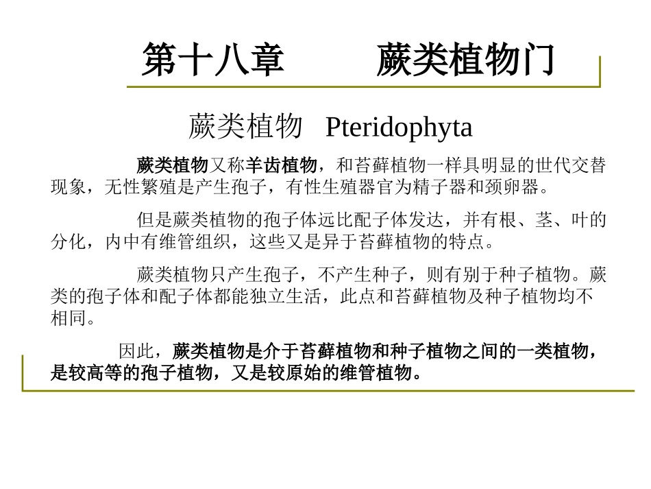 药用植物学-淅江大学18蕨类_第2页