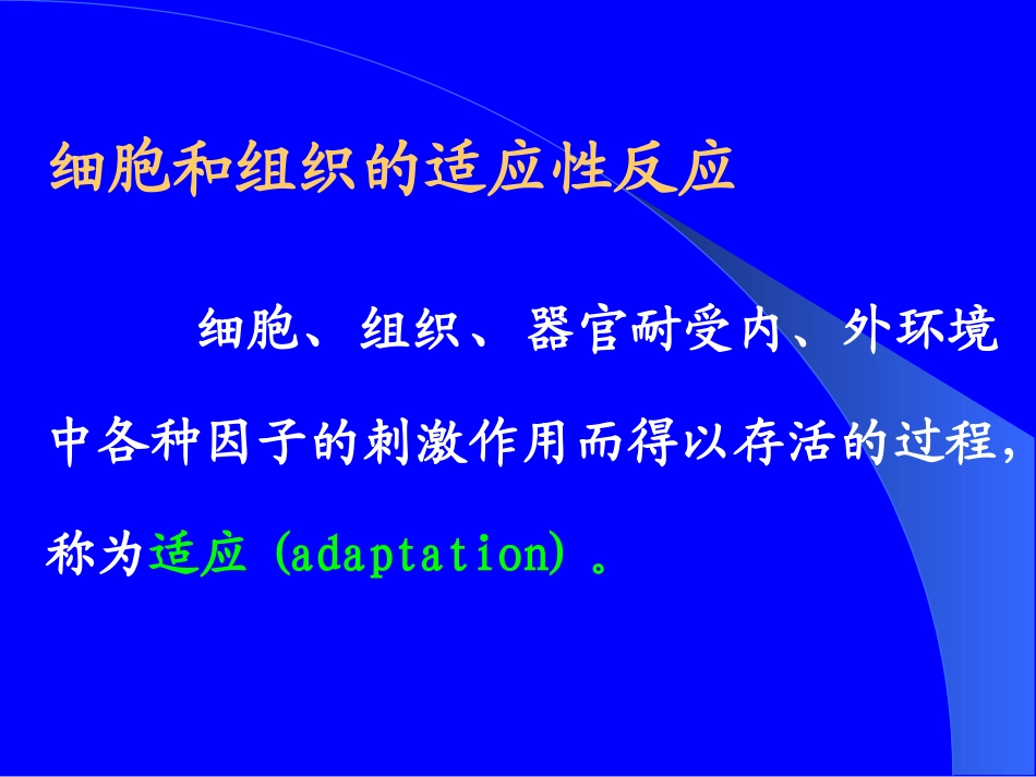 细胞组织损伤和修复_第3页