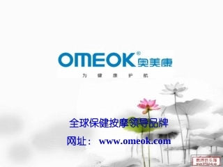 奥美康产品总销价格表(2013最新版)