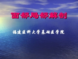面部局部解剖