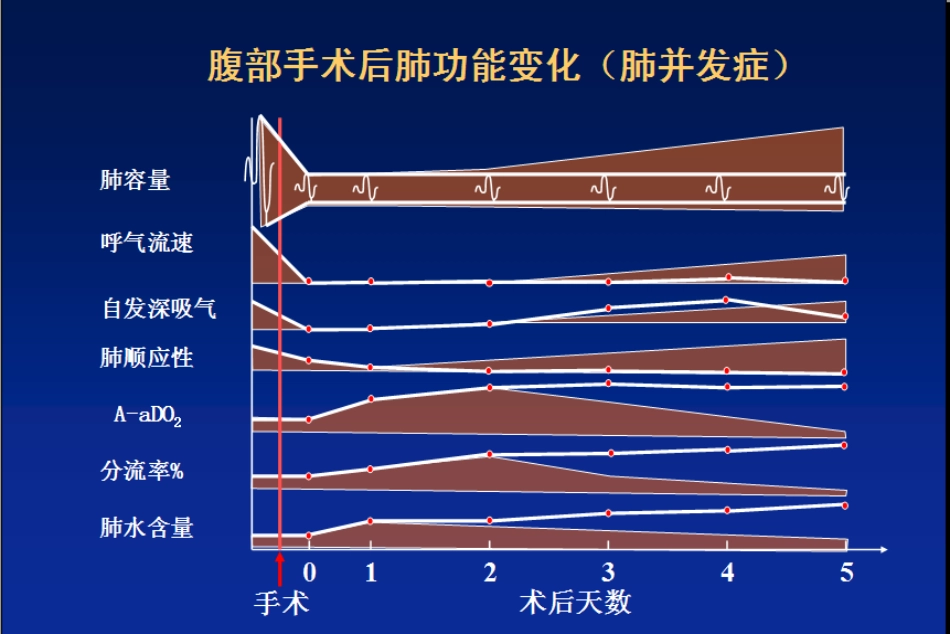 HAP和吸入性肺炎_第2页