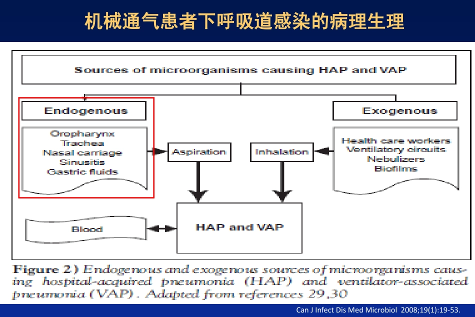 HAP和吸入性肺炎_第3页