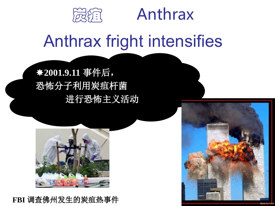 炭疽防治技术规范_第2页