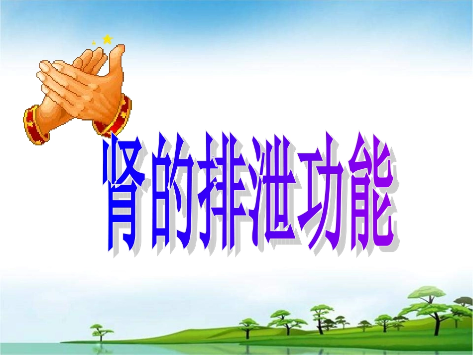 肾脏排泄功能_第1页