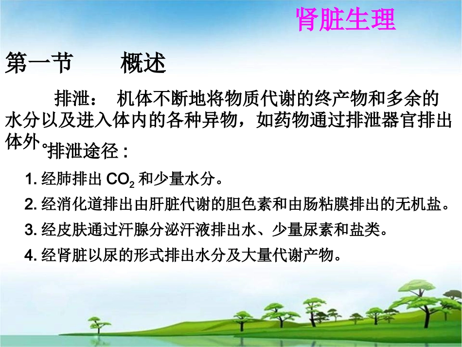 肾脏排泄功能_第2页