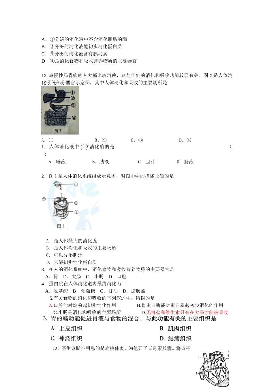 第二章 人体的营养_第3页