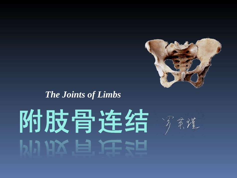 罗英瑾 01-05 四肢骨连结_第1页
