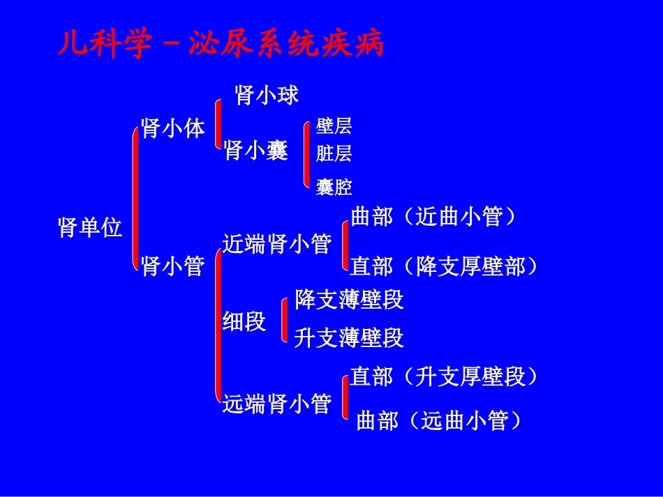 儿科学-泌尿系统疾病2007_第3页