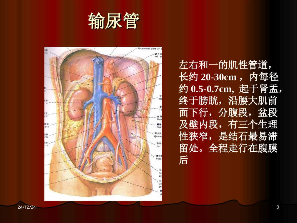 尿石症梗阻及其他_第3页