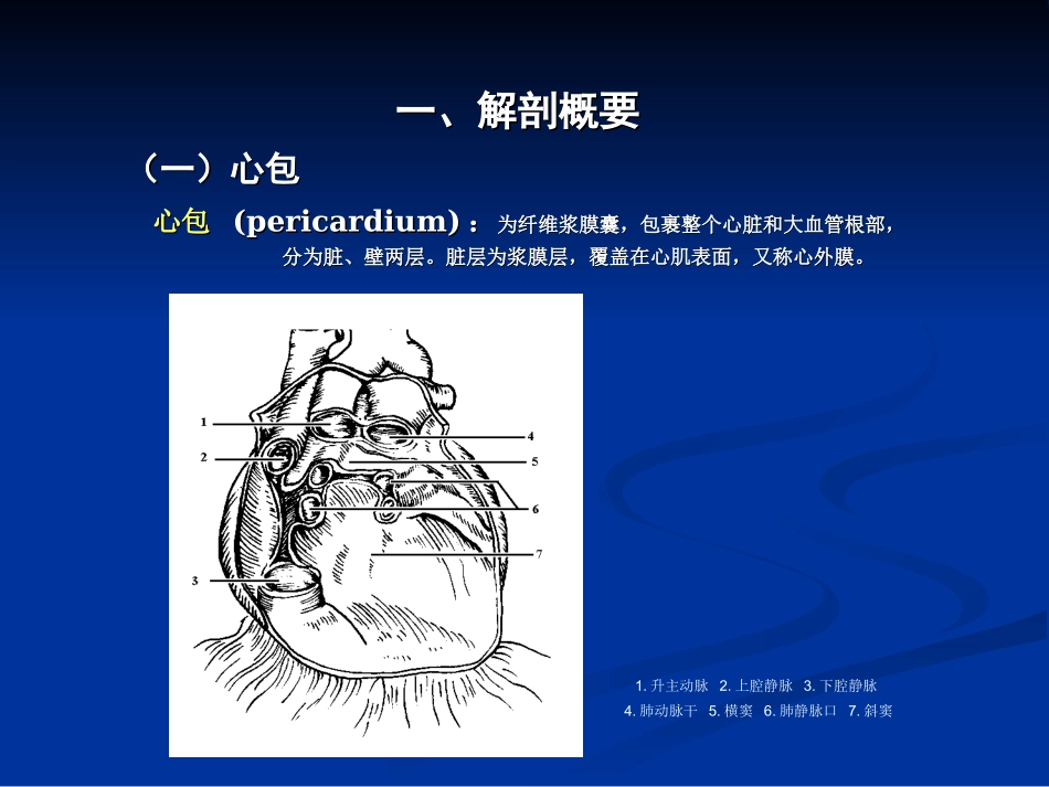 心脏大血管超声_第3页