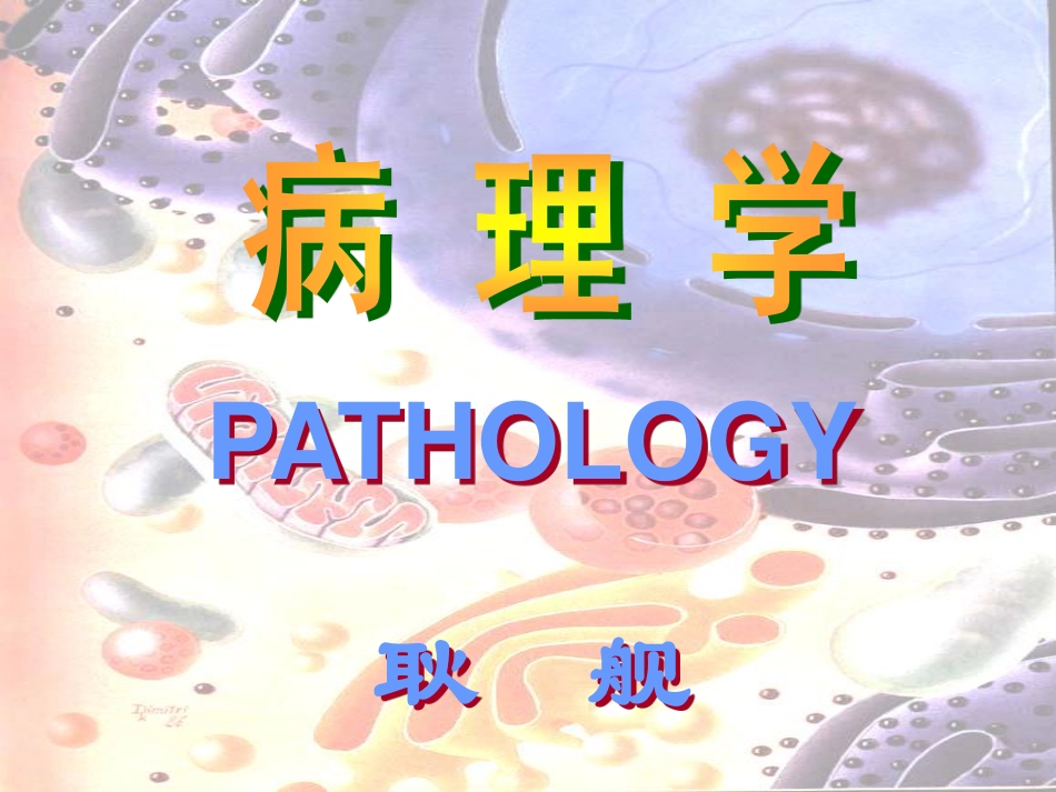 淤血、血栓形成_第1页