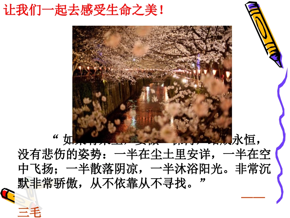 “尊重生命-珍爱自我”ppt分解_第3页