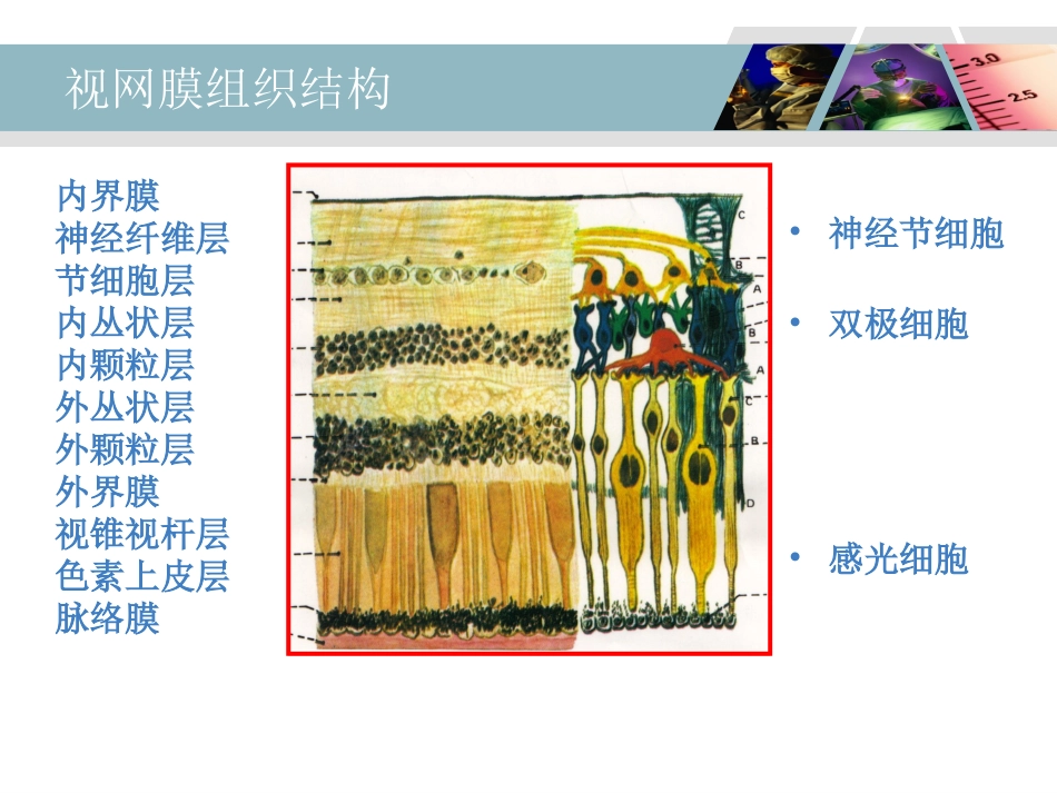浅谈糖尿病视网膜病变_第3页