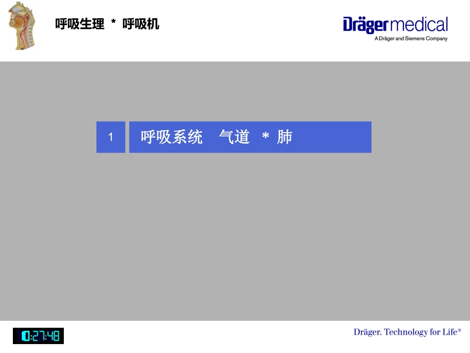 呼吸生理与呼吸机应用基础知识_第3页
