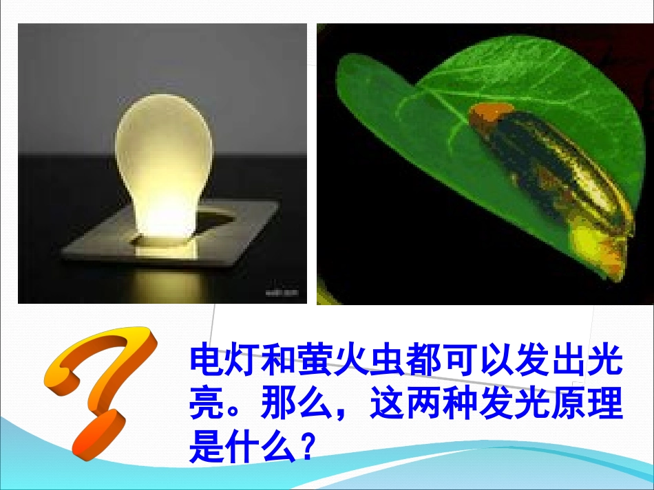 细胞的能量“通货”——ATP23_第2页