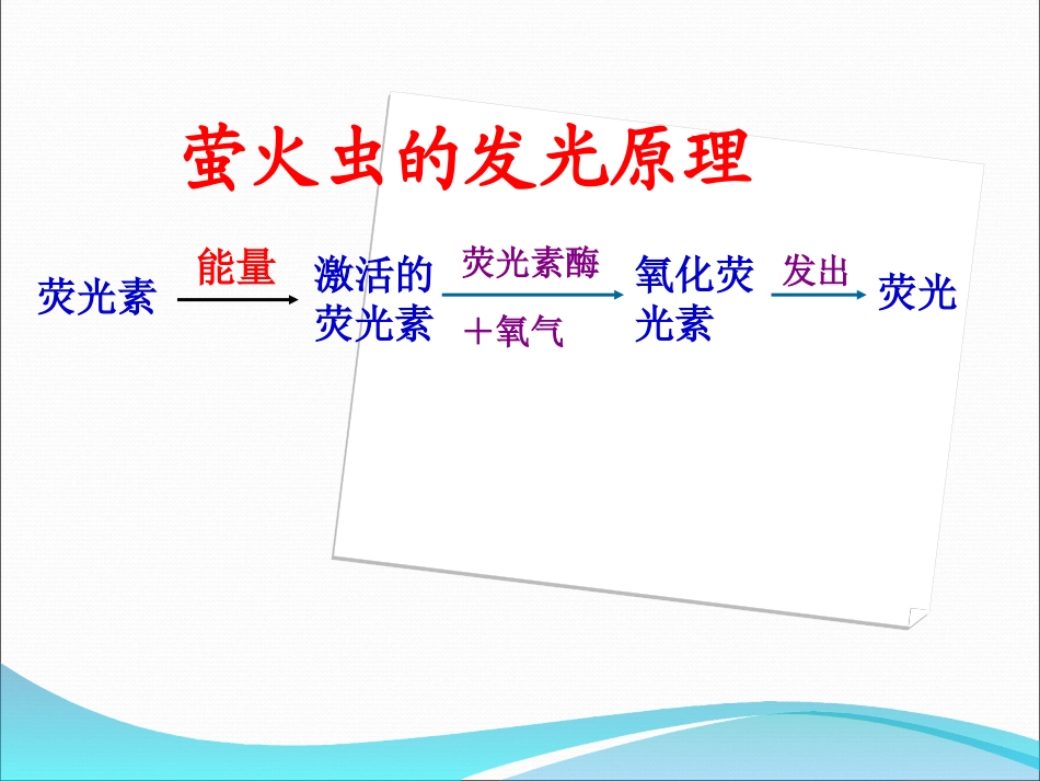 细胞的能量“通货”——ATP23_第3页