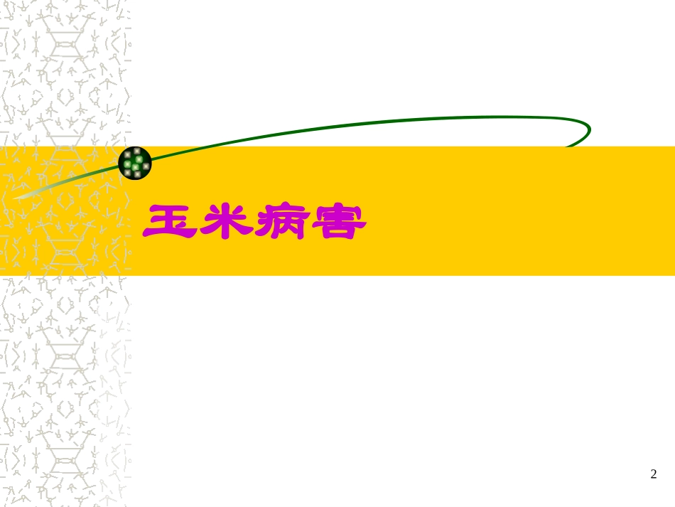 玉米病虫害防治(20081208修改)素材_第2页