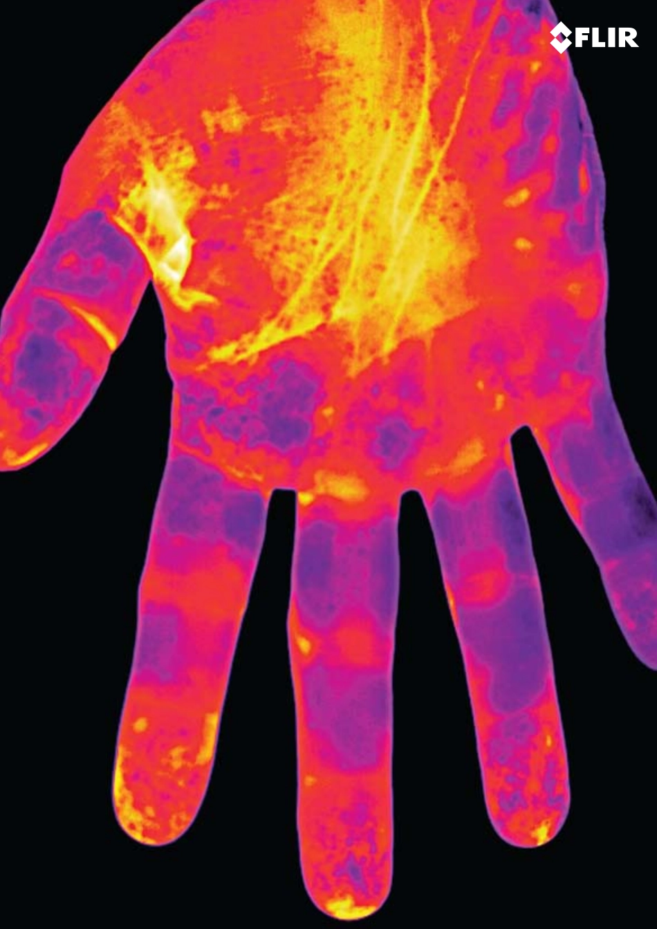 FLIR应用案例_第2页