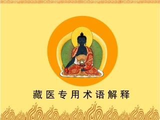 藏医术语解释(讲解员)
