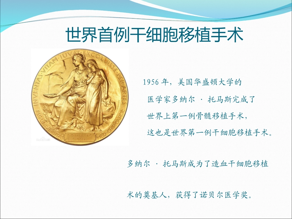 干细胞的分类及应用_第3页